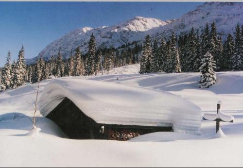 Schnee_Hütte